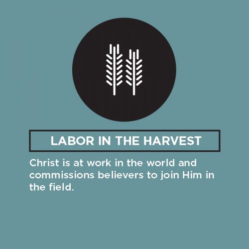labor-in-the-harvest